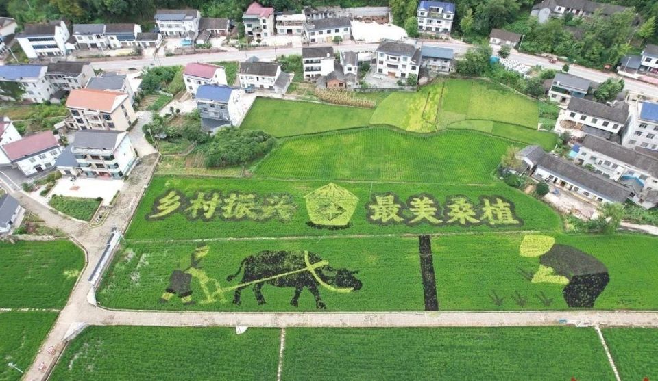 公里, 日打响首战 公里, 日打响首战