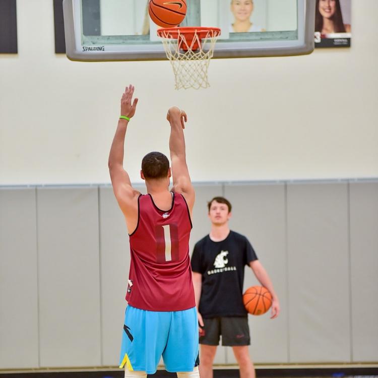 dingy, hd, 发型仿佛时